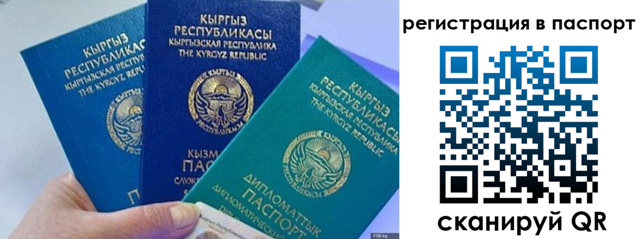 прописка 2025 в Гороховце